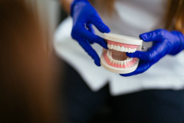 Trusted Buffalo, NY Holistic Dental Care Services Experts